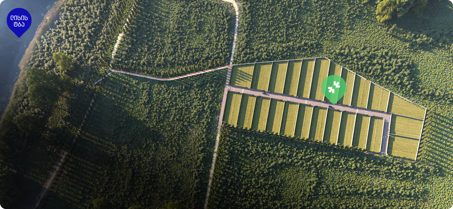 ორიენტირი ლისი